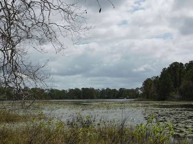 Three Island Nature Park - Image 1