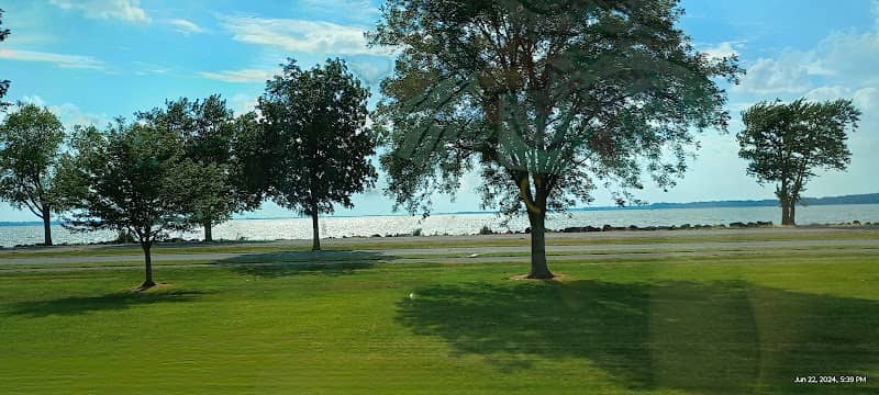 Dog park - Image 1