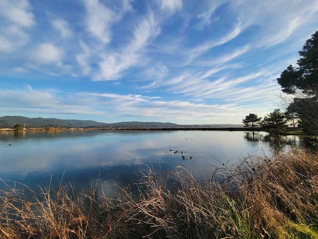 Arcata Bird Sanctuary - Image 1
