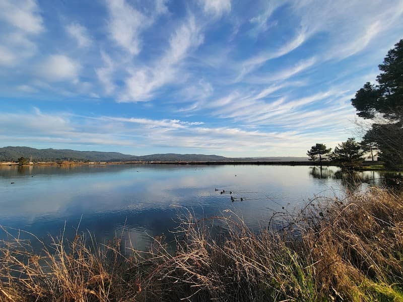 Arcata Bird Sanctuary - Image 1