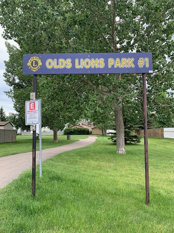Lion's Balsam Park - Image 1