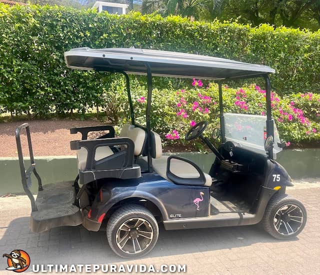 Flamingo Beach Golf Carts - Image 2