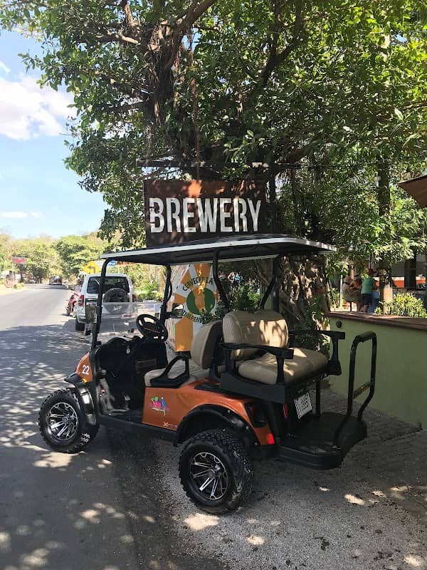 Flamingo Beach Golf Carts - Image 1