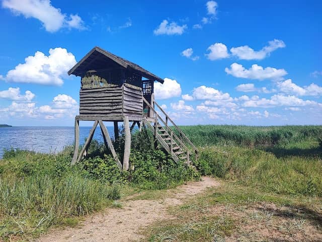 Pervalka Birdwatching Tower - Image 1