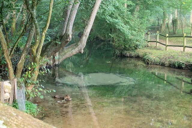 Blue Waters - Image 1