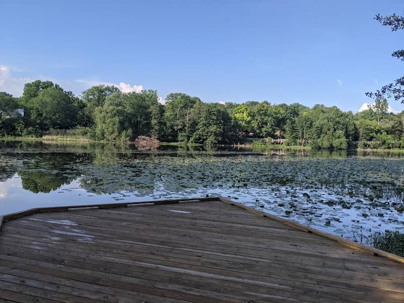 Bandemer Nature Area - Image 1