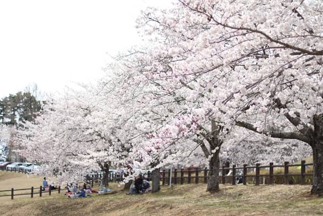 Natorishitenisukyo Park - Image 1