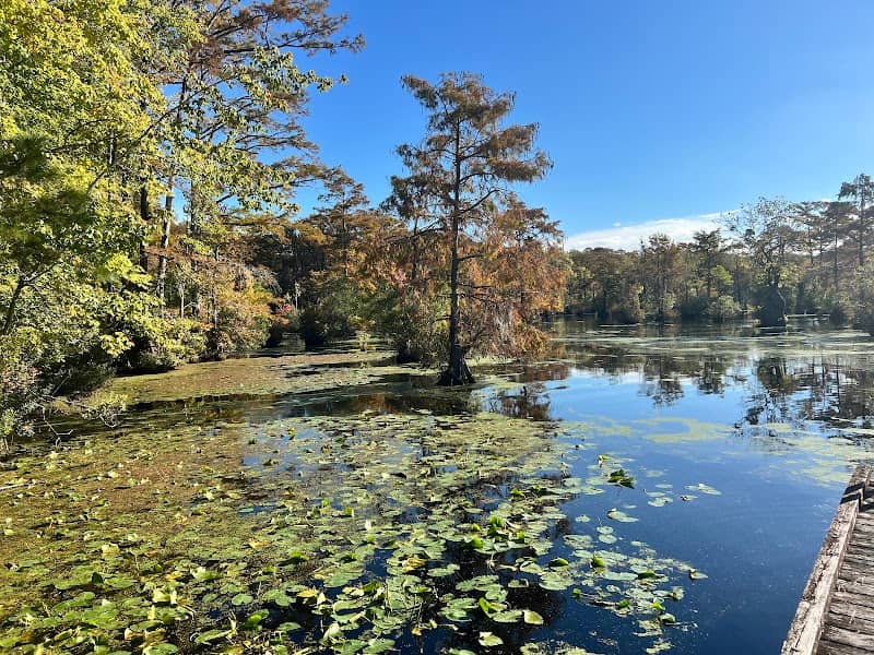 Merchants Millpond Visitor Center - Image 1