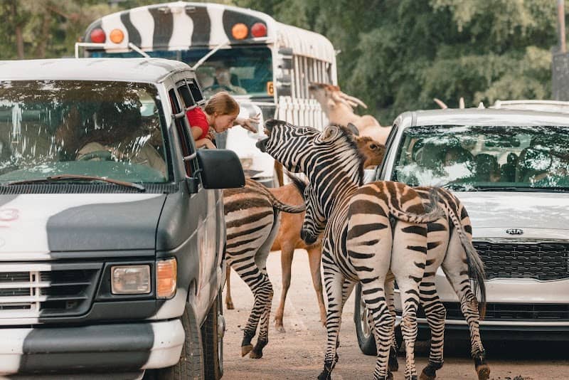 Wild Animal Safari - Pine Mountain, Georgia - Image 1