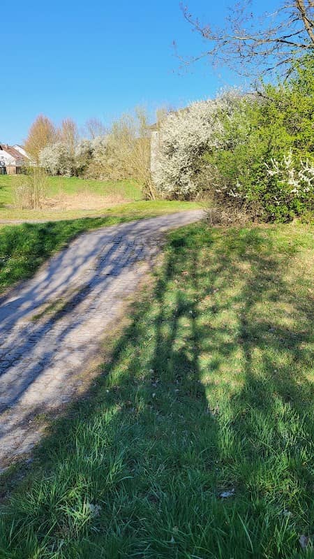 Sigi Wolf Park - Image 1
