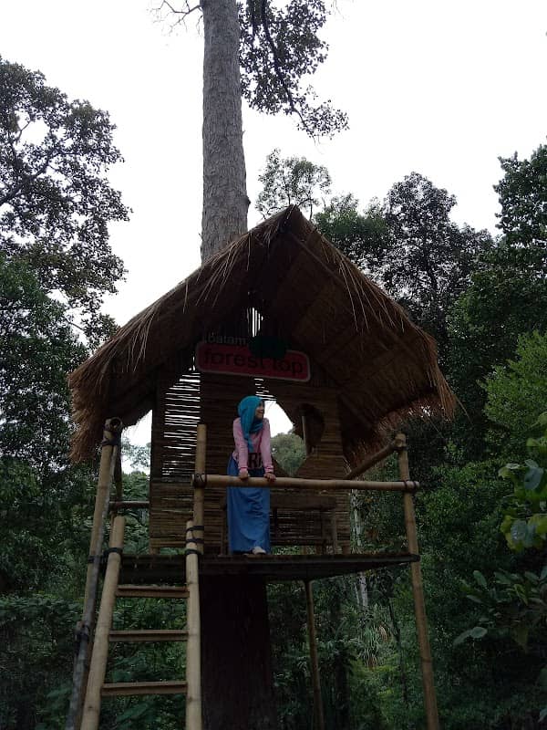 Batam Forest Top - Image 2