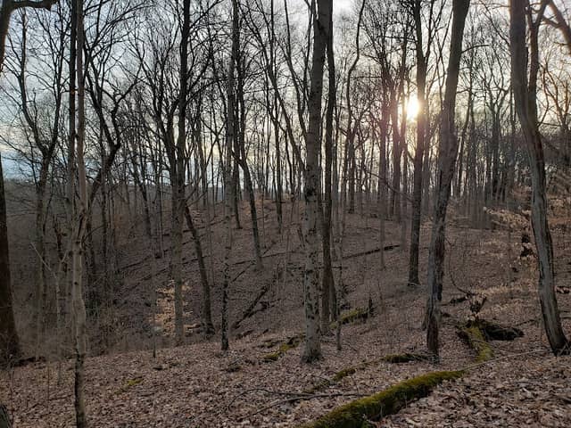 Boone County Cliffs State Nature Preserve - Image 1