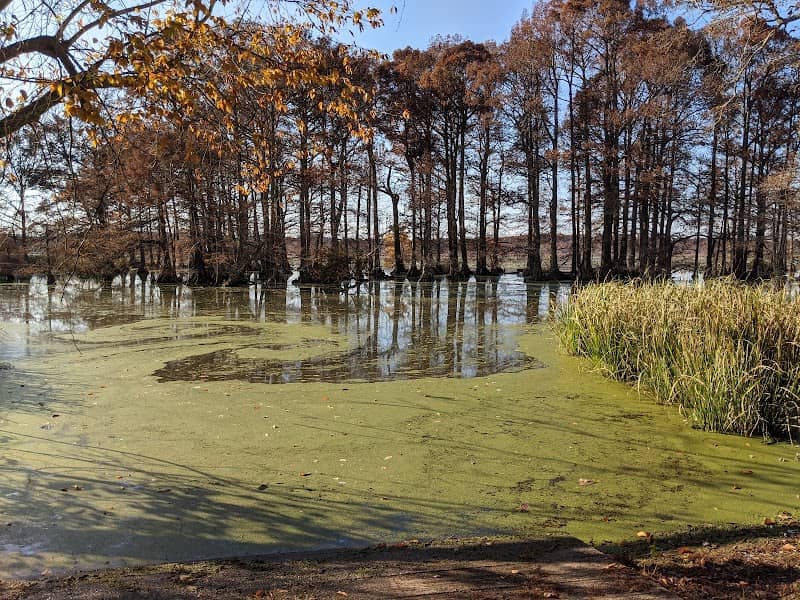 Reelfoot National Wildlife Refuge - Image 2