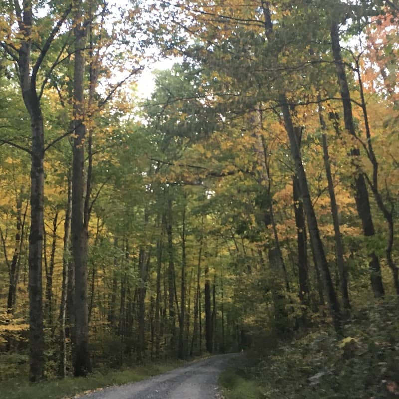 State Game Lands Number 89 - Image 1