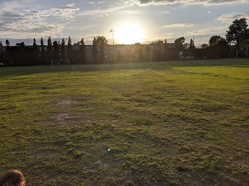 Raymond Park - Image 2