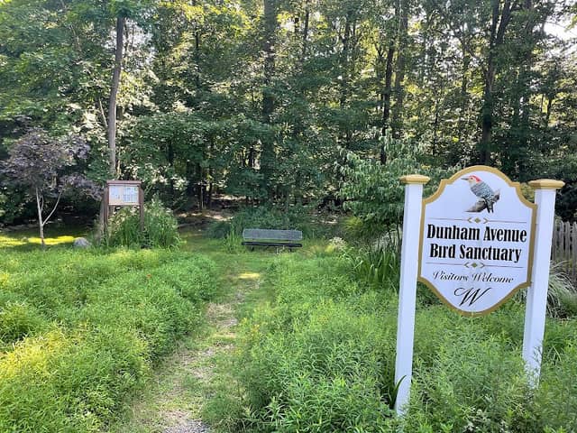 Dunham Avenue Bird Sanctuary - Image 3
