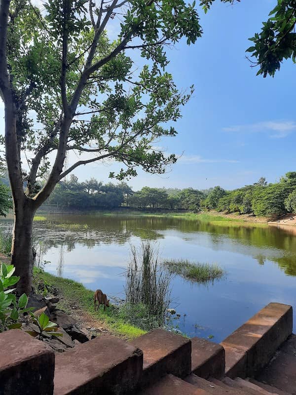 Jayanagara Lake Park - Image 1