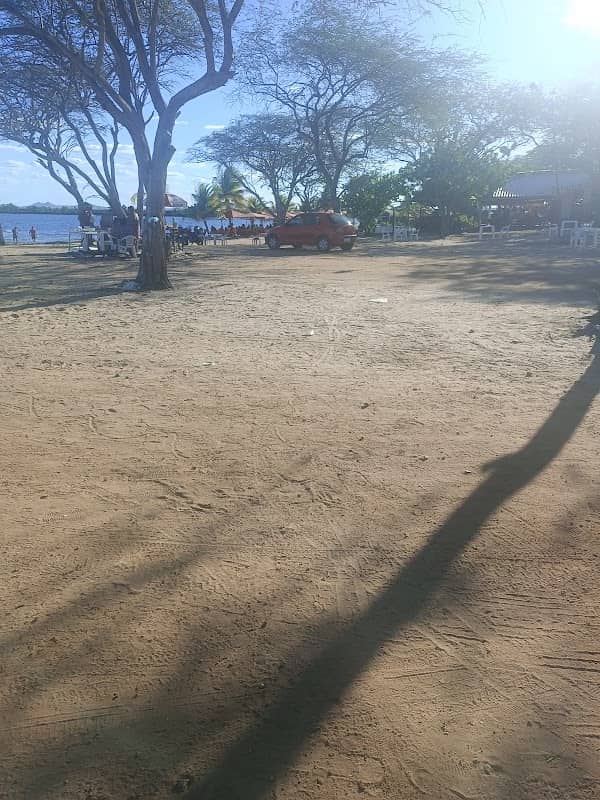 Ilha do pescador - Image 1