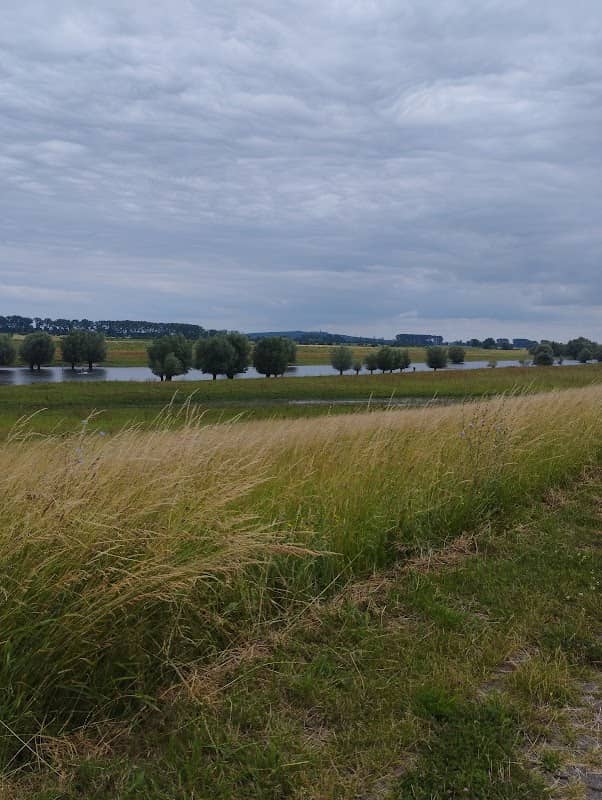 Milchradweg Kreis Kleve Tafel 5 - Image 1