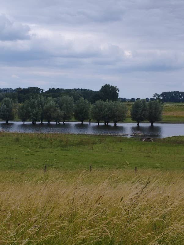 Milchradweg Kreis Kleve Tafel 5 - Image 2