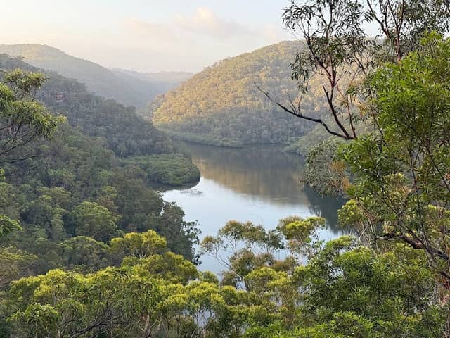 Great North walk - Berowra Valley National Park - Image 1