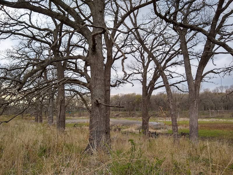 Wolf Oak Woods - Image 2