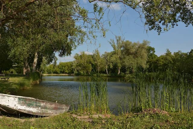 Kállay Ödön park - Image 1