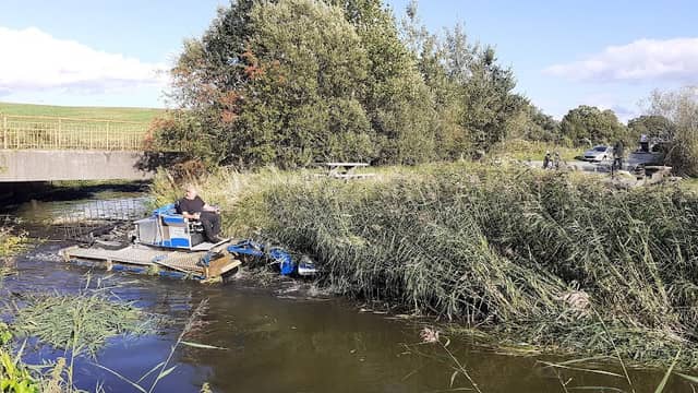 Stellplatz am See - Image 1