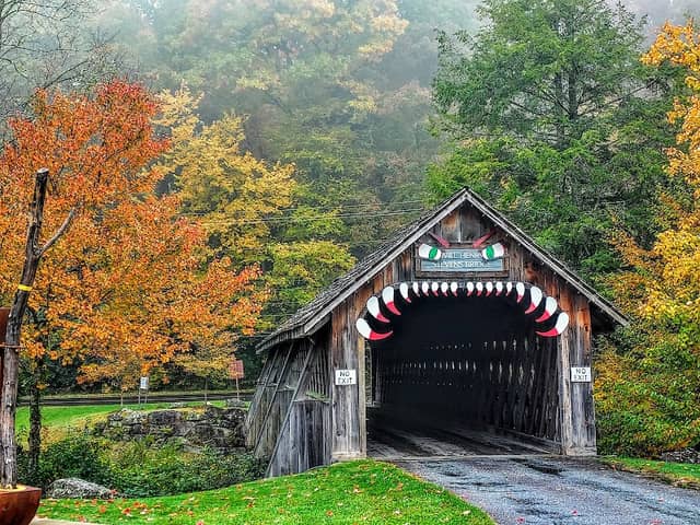 Will Henry Stevens Covered Bridge - Image 1