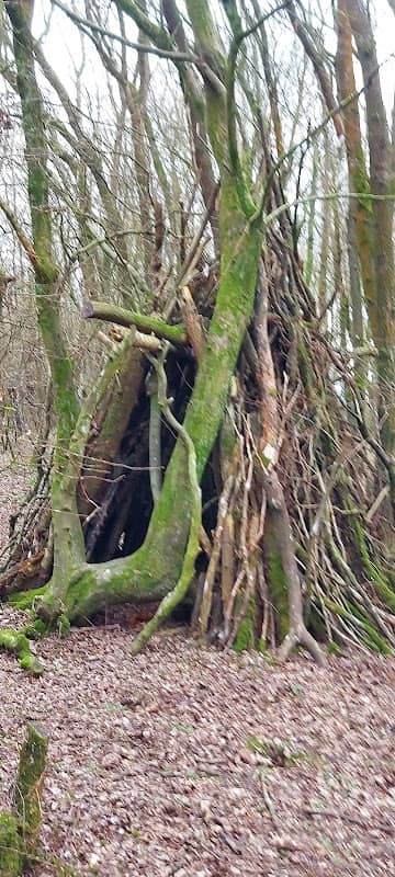 Captain's Wood - Image 2