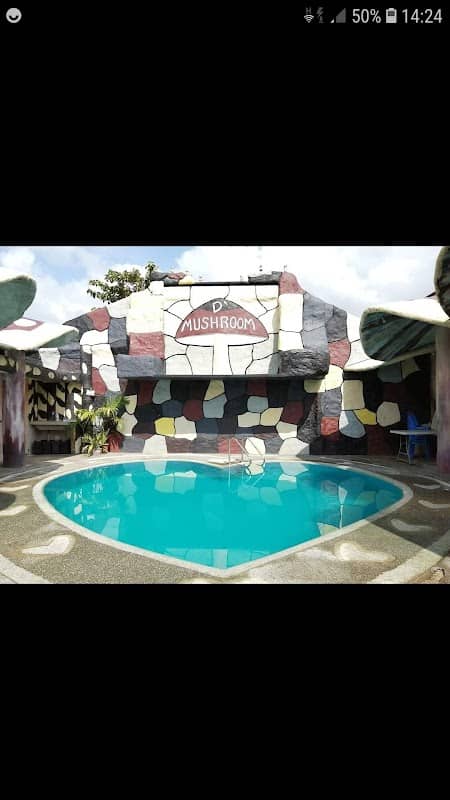 D' Mushroom Resort - Image 1