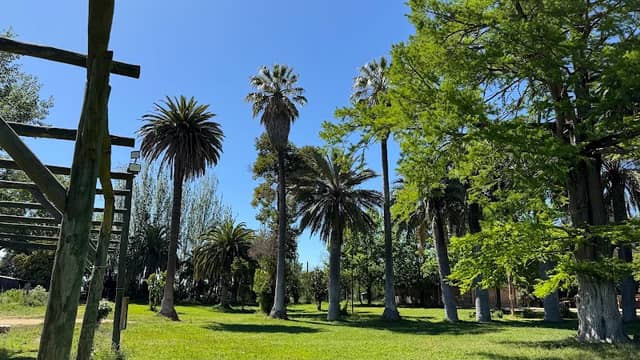 Parque Peralillo - Image 2