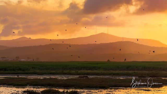 Hunter Wetlands National Park - Image 1