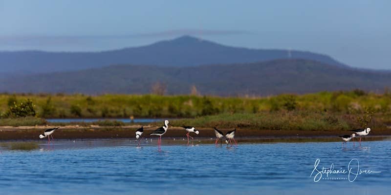 Hunter Wetlands National Park - Image 2