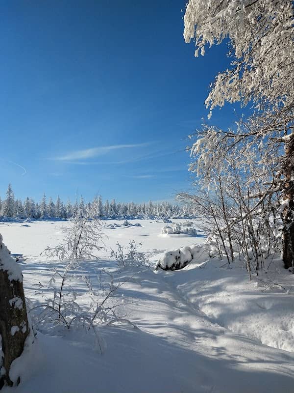Hohlohsee - Image 3