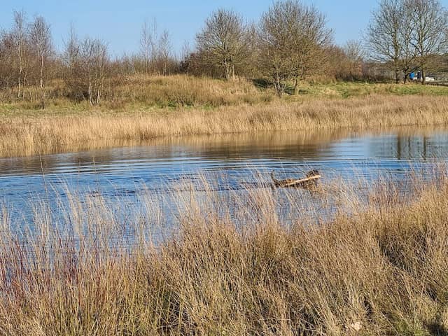 Landgoed Puntersbos - Image 1
