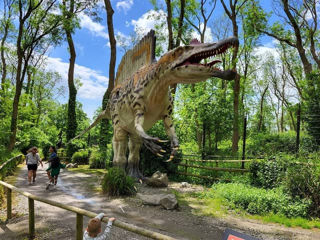 Port Lympne Dinosaur Forest - Image 2