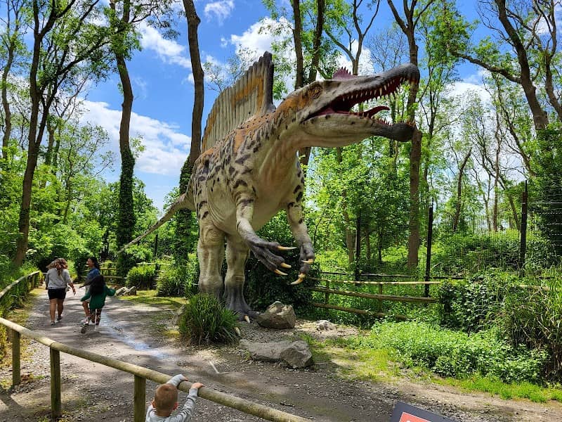 Port Lympne Dinosaur Forest - Image 2