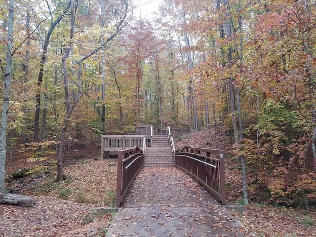 J. B. Owens Park - Image 1