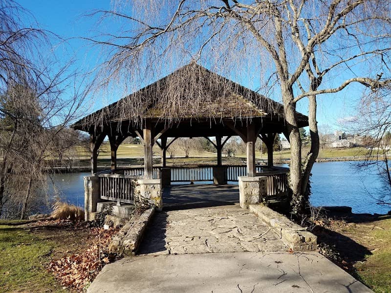 Duck Pond - Image 2