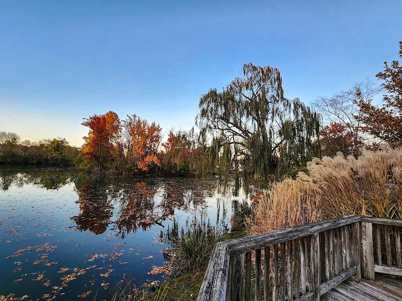 Duck Pond - Image 1