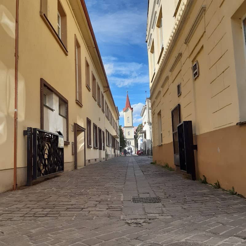 Brána na Tranovského ulicu - Image 2
