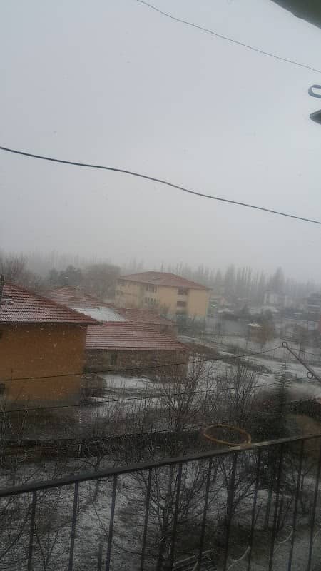 Kinder garden - Image 1