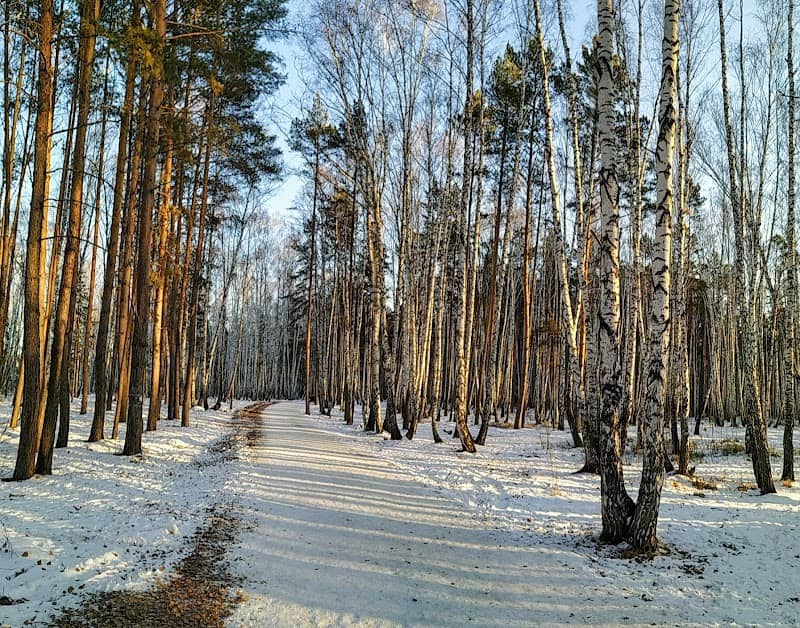 Prirodnyy Park V Aleksadrovskom - Image 1