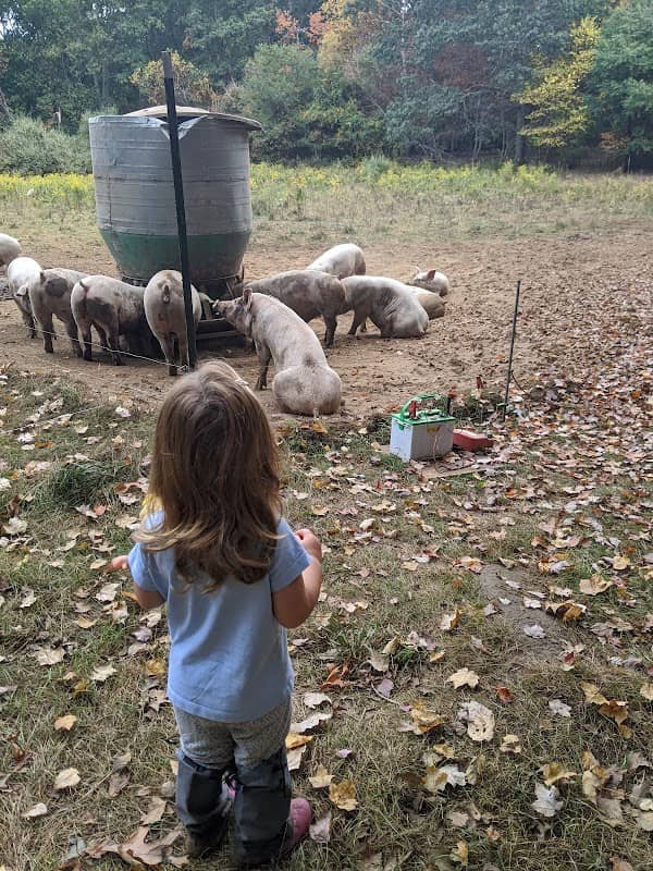 Briggs Boesch Farm - Image 2