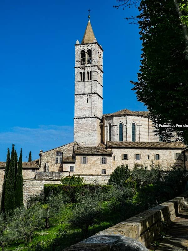Basilica of Saint Clare - Image 2