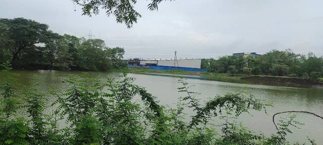 Pimpalas Lake - Image 1
