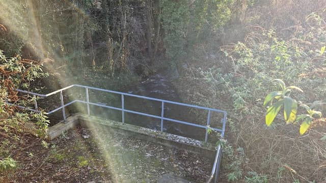 Strunde im Zandersgelände - Image 2