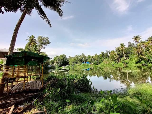 Mullapan chira - Image 1