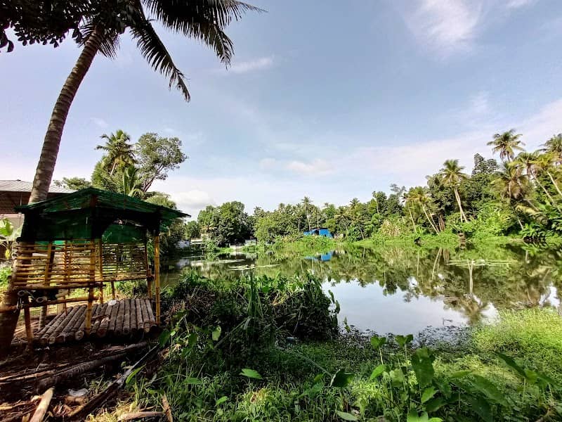 Mullapan chira - Image 1